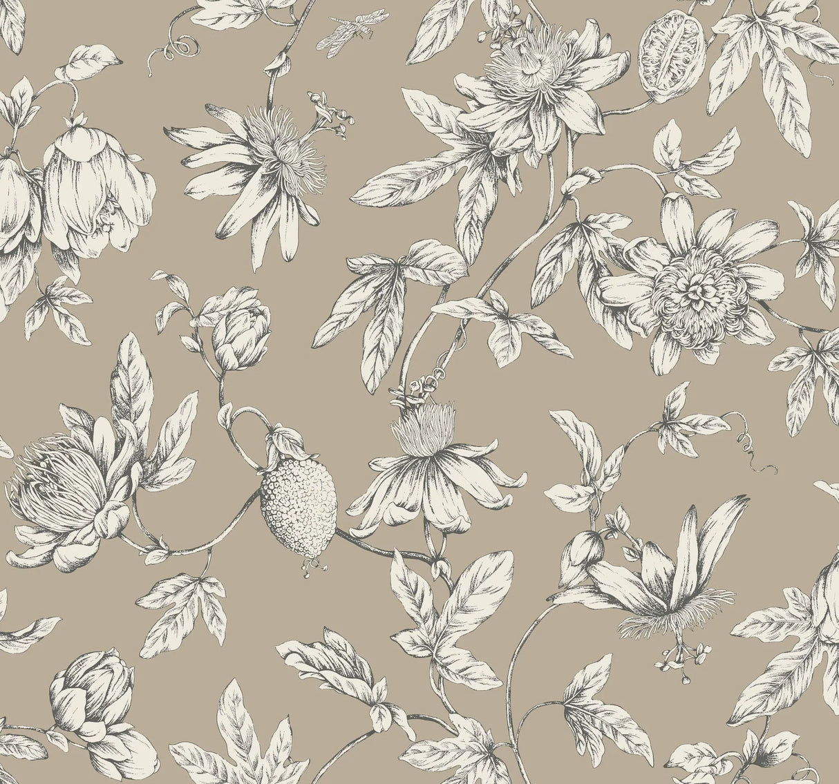 Passion Flower Toile Wallpaper by Toiles Resource Library