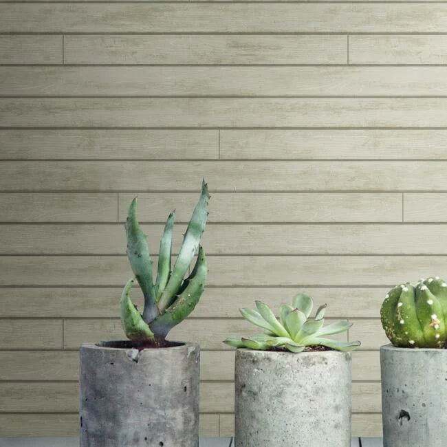 Skinnylap Wallpaper by Magnolia Home Vol. 1