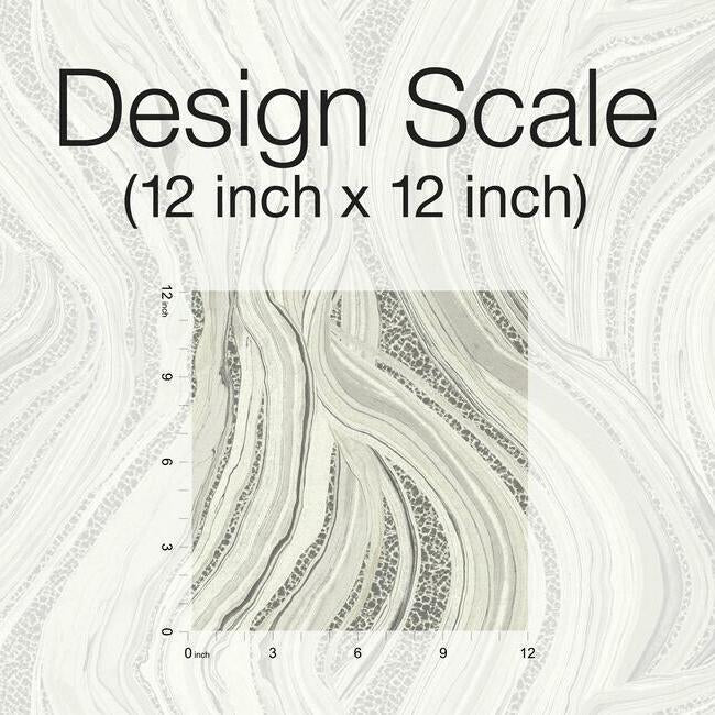 Streaming Cheetah Wallpaper by Ronald Redding Wallpaper