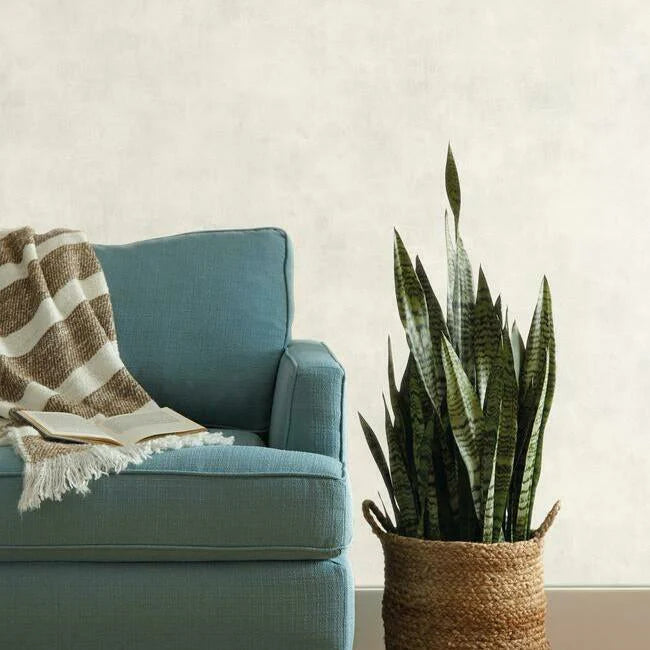 Plaster Finish Wallpaper by Magnolia Home Vol. 2