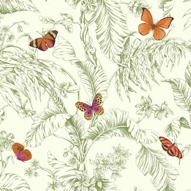 Papillon Wallpaper by Open Sheet