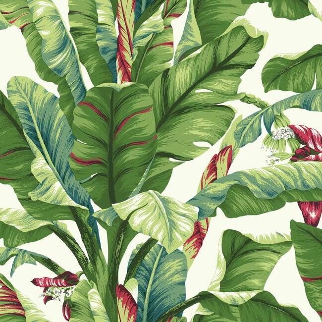 Banana Leaf Wallpaper by Open Sheet