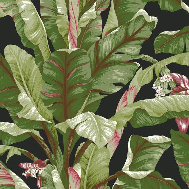 Banana Leaf Wallpaper by Open Sheet