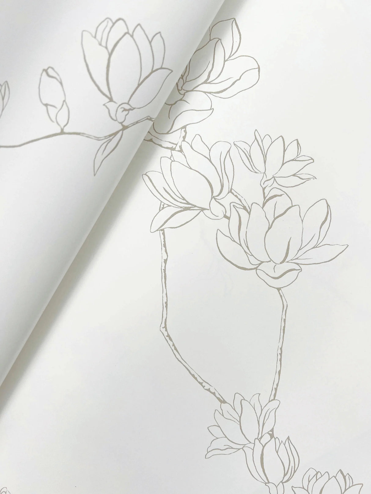 Magnolia Branches Wallpaper by Legacy