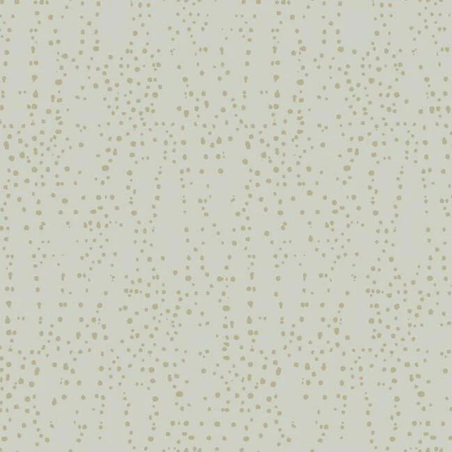 Star Struck Wallpaper by Candice Olson Wallcoverings