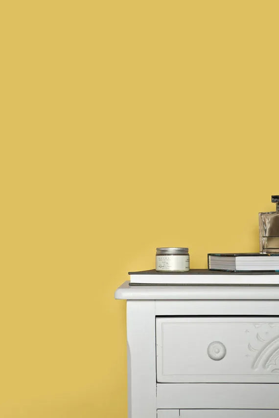 Ciara Yellow No. 73 - Farrow & Ball Paint