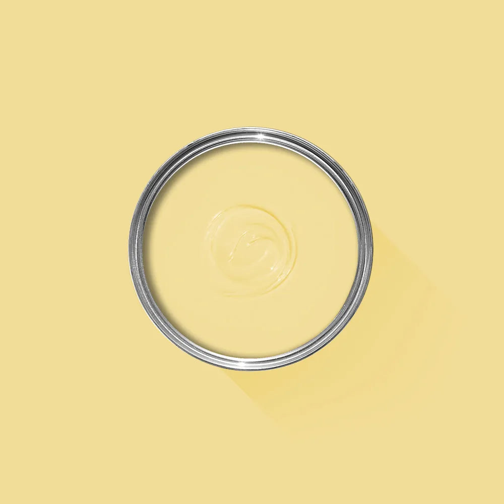 Dayroom Yellow No. 233 - Farrow & Ball Paint