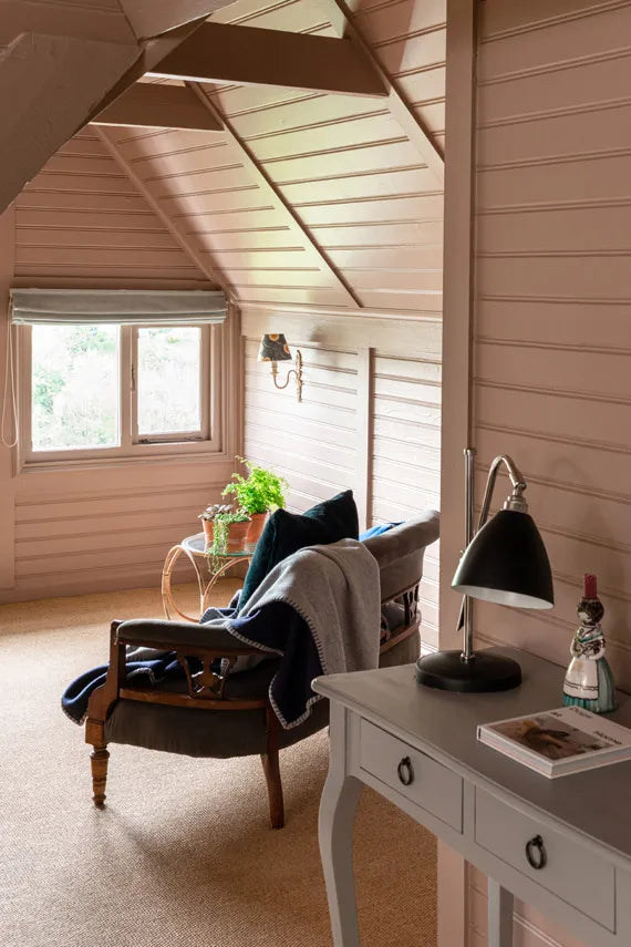 Dead Salmon No. 28 - Farrow & Ball Paint