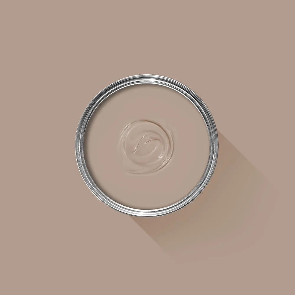 Dead Salmon No. 28 - Farrow & Ball Paint