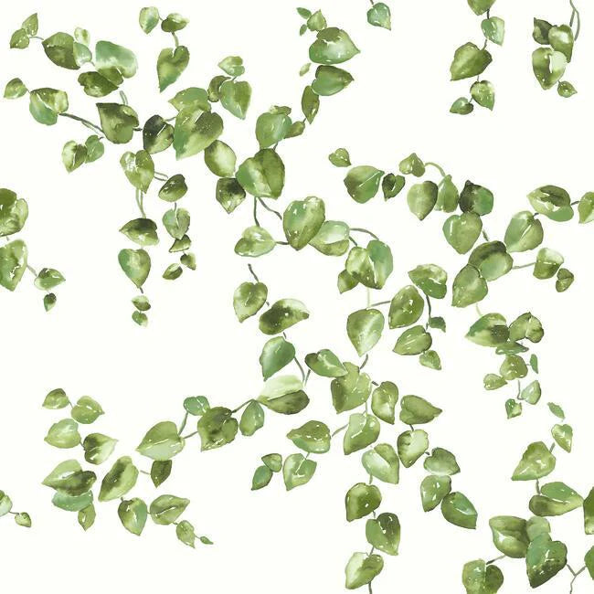 Creeping Fig Vine Wallpaper by Simply Farmhouse