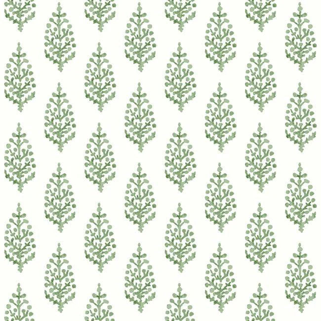 Paisley On Calico Wallpaper by Simply Farmhouse