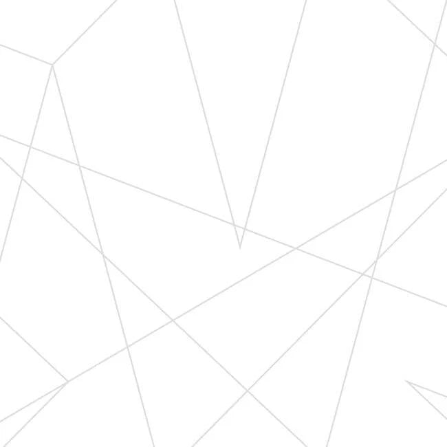 Spider-Man Fracture Wallpaper by Disney Kids Vol. 4