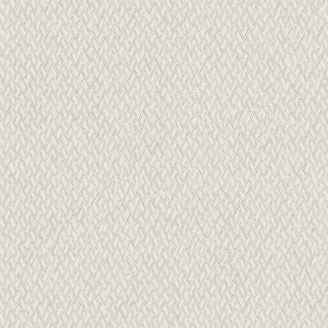 Give & Take High Performance Wallpaper by Natural Digest