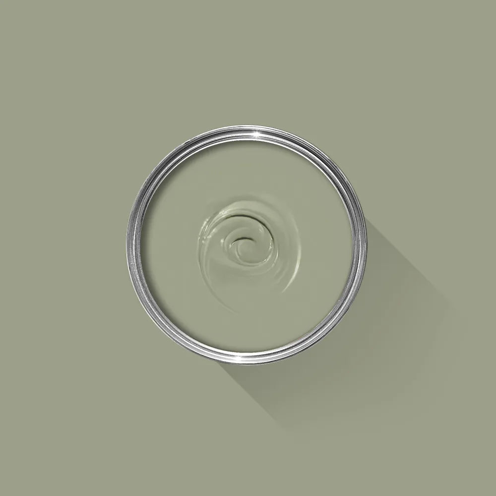 Lichen No. 19 - Farrow & Ball Paint