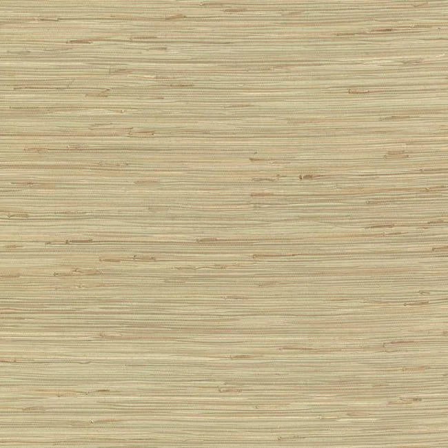 River Grass Wallpaper by Grasscloth Resource Library