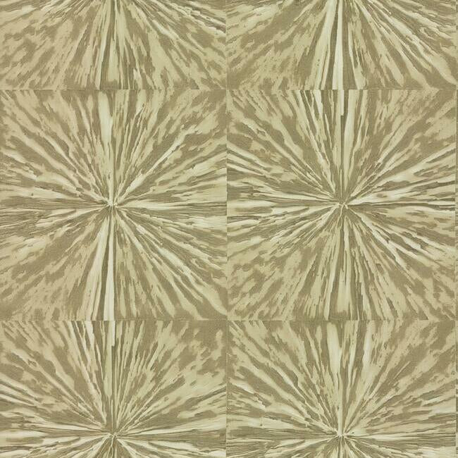 Squareburst Wallpaper by Antonina Vella Wallpaper