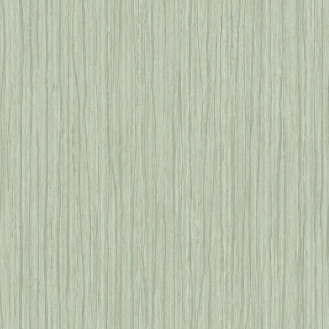 Temperate Veil Wallpaper by Antonina Vella Wallpaper