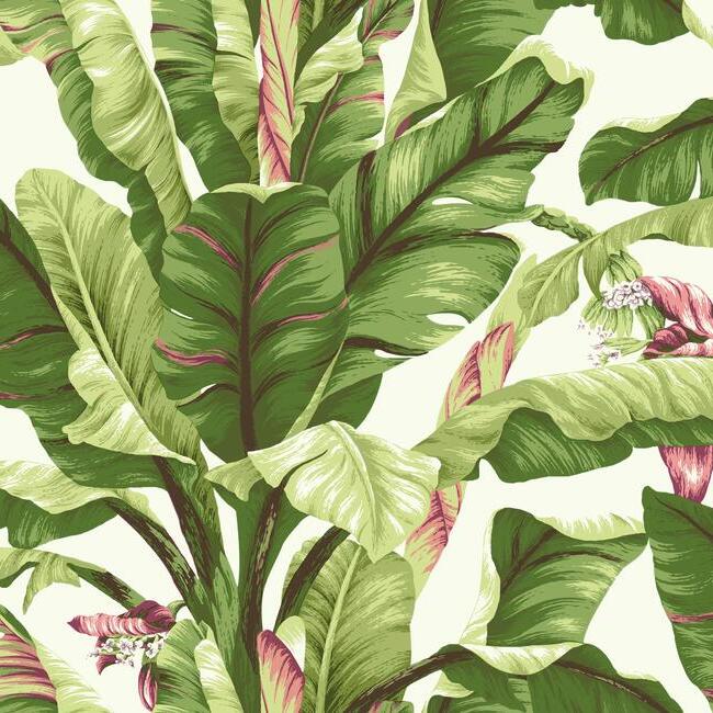 Banana Leaf Wallpaper by Legacy