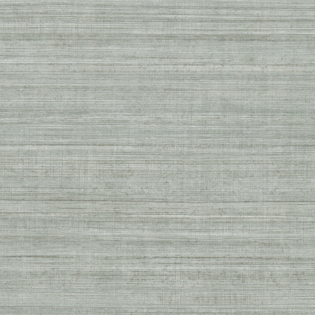 Tasar Silk High Performance Wallpaper by Natural Digest