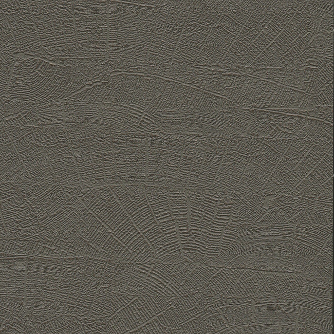 On Deck High Performance Wallpaper by Natural Digest