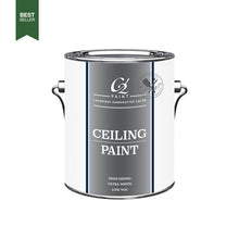 Load image into Gallery viewer, C2 Ceiling Paint
