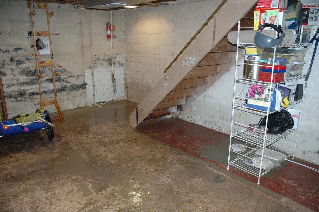FAQs About Paint Drying Issues in Basements and Below Grade Rooms