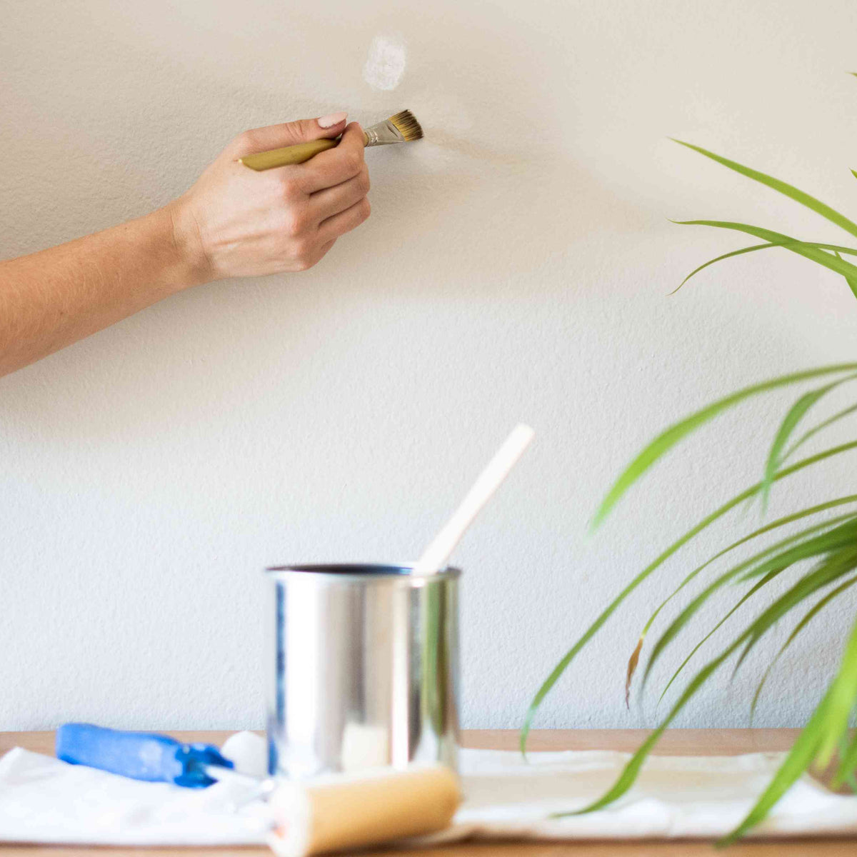 FAQs About Paint Touch Up Matching After Years of Wear – Randall's