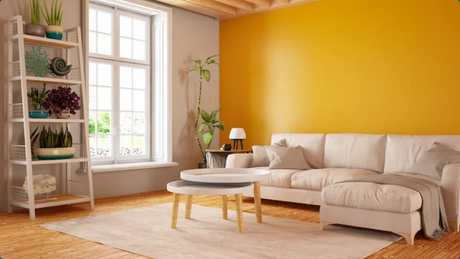 Should I Use Flat or Glossy Paint in the Living Room?