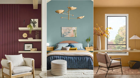 What Are the Trending Paint Colours This Year?