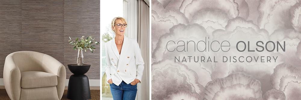 CANDICE OLSON - NATURAL DISCOVERY