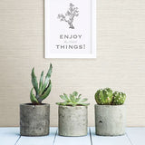 Agave Off-White Faux Grasscloth Wallpaper - Grasscloth Wallpaper