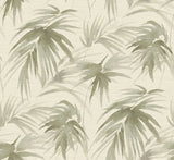 Darlana Sage Grasscloth Wallpaper- Scott Living - Grasscloth Wallpaper