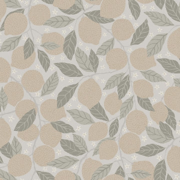 Lemona GREY Fruit Tree