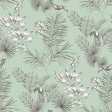 Shelly Mint Toucan Toile Wallpaper - Toile Wallpaper