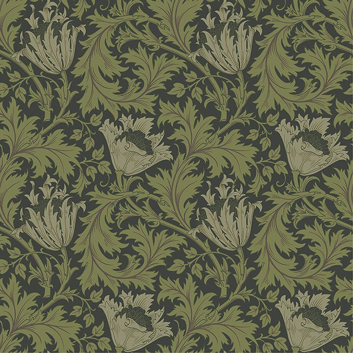 Anemone Dark Green Floral Trail Wallpaper - Floral Wallpaper