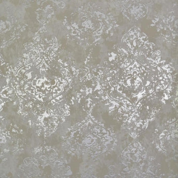Stargazer WHITE/SILVER