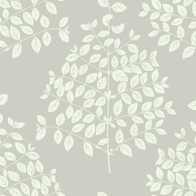 Tender PEARL GREY