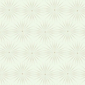 Starlight WHITE/WARM SILVER