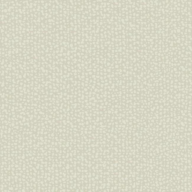 Galaxies BEIGE