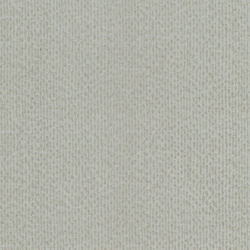 Dazzle SILVER
