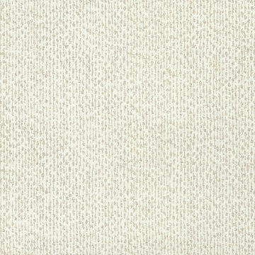 Dazzle WHITE