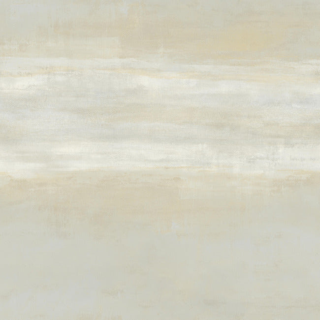 Serene Reflection FOG