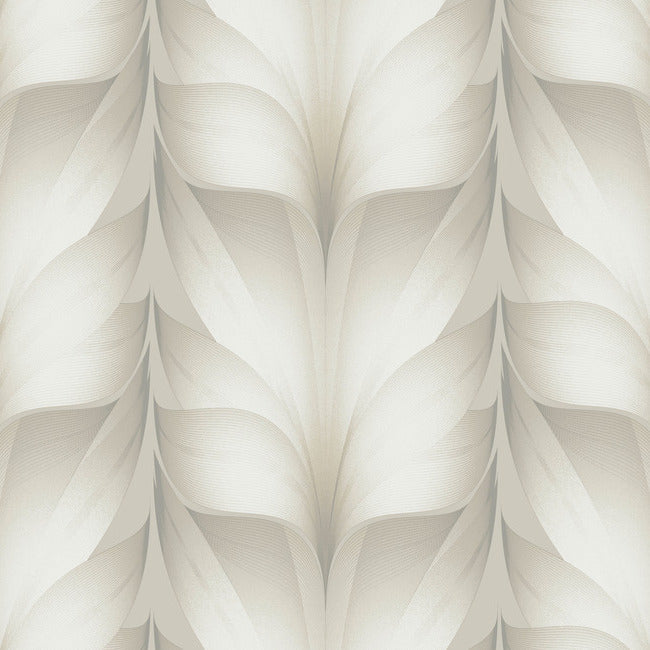 Lotus WHITE