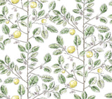 Limoncello Toile Wallpaper- Green - Toile Wallpaper