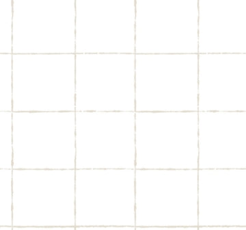La Vitre Plaid GRAPHITE