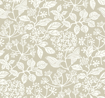 Rowen TAUPE