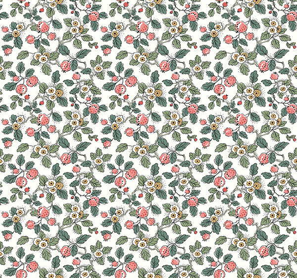 Framboise PINK