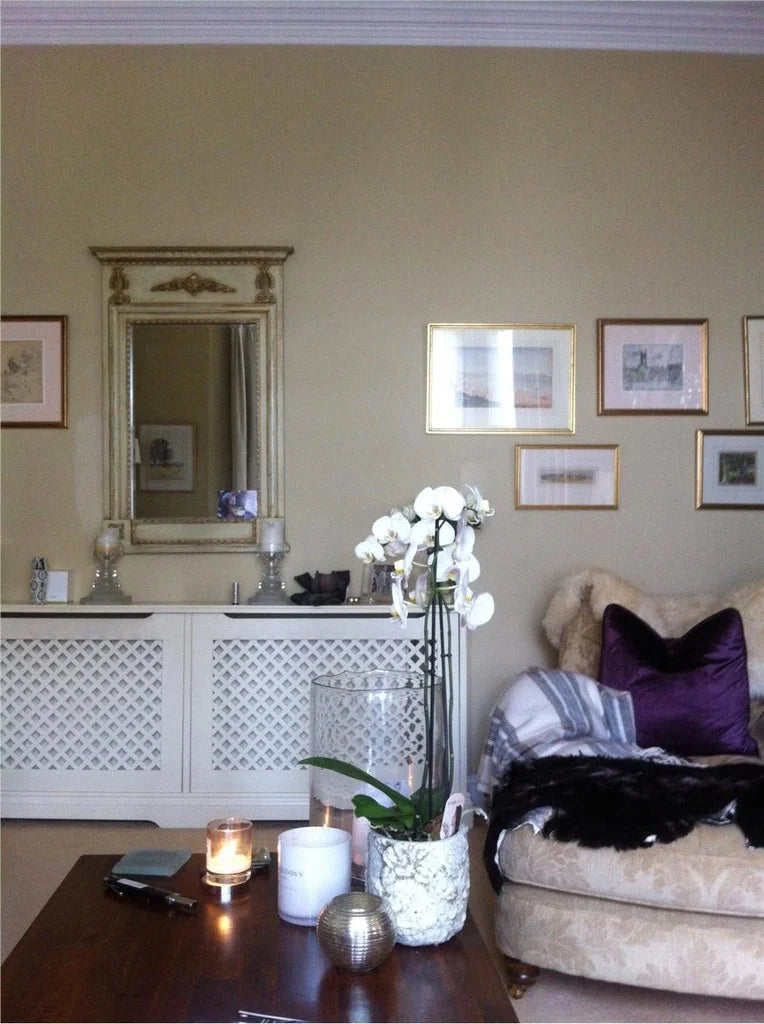 Cord No. 16 - Farrow & Ball Paint