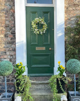 Duck Green No. W55 - Farrow & Ball Paint