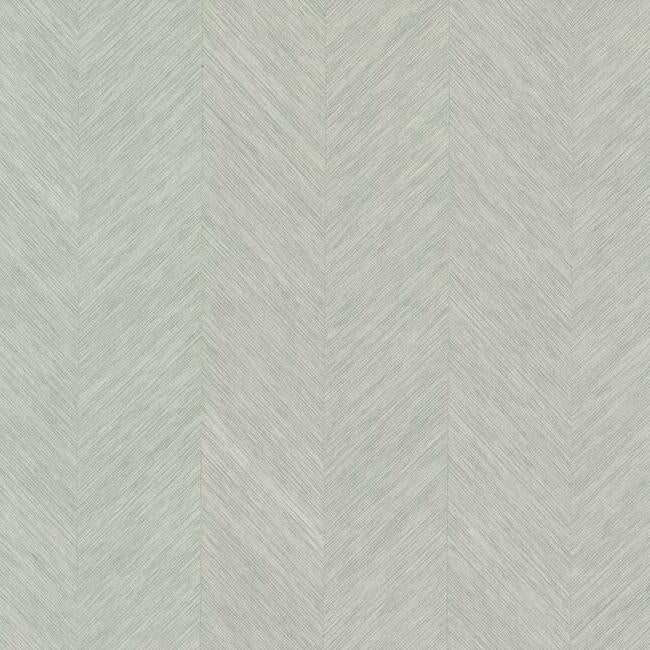 Metallic Chevron Wallpaper by Antonina Vella Wallpaper